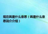 現(xiàn)在颯是什么意思（颯是什么意思簡(jiǎn)介介紹）