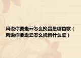 風說你要走云怎么挽留是哪首歌（風說你要走云怎么挽留什么歌）