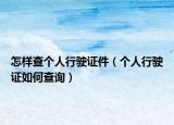 怎樣查個人行駛證件（個人行駛證如何查詢）