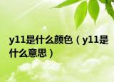 y11是什么顏色（y11是什么意思）