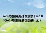 ie3.0復(fù)刻版是什么意思（ie3.0和ie3.0復(fù)刻版的區(qū)別是什么）