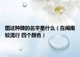 圖這種牌的名字是什么（在閩南較流行 四個(gè)顏色）