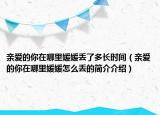 親愛(ài)的你在哪里媛媛丟了多長(zhǎng)時(shí)間（親愛(ài)的你在哪里媛媛怎么丟的簡(jiǎn)介介紹）
