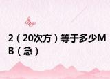 2（20次方）等于多少MB（急）