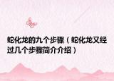 蛇化龍的九個步驟（蛇化龍又經過幾個步驟簡介介紹）