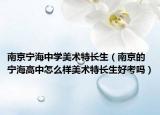 南京寧海中學(xué)美術(shù)特長(zhǎng)生（南京的寧海高中怎么樣美術(shù)特長(zhǎng)生好考嗎）