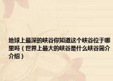 地球上最深的峽谷你知道這個(gè)峽谷位于哪里嗎（世界上最大的峽谷是什么峽谷簡(jiǎn)介介紹）