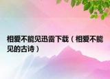 相愛(ài)不能見(jiàn)迅雷下載（相愛(ài)不能見(jiàn)的古詩(shī)）
