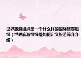 世界旅游組織是一個什么樣的國際旅游組織（世界旅游組織是如何定義旅游簡介介紹）