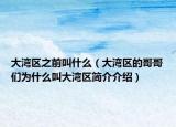 大灣區(qū)之前叫什么（大灣區(qū)的哥哥們?yōu)槭裁唇写鬄硡^(qū)簡介介紹）