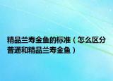 精品蘭壽金魚的標(biāo)準(zhǔn)（怎么區(qū)分普通和精品蘭壽金魚）