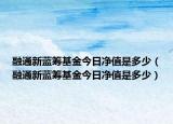 融通新藍(lán)籌基金今日凈值是多少（融通新藍(lán)籌基金今日凈值是多少）
