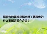 甄嬛傳的甄嬛是配音嗎（甄嬛傳為什么要配音簡介介紹）