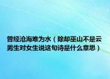 曾經(jīng)滄海難為水（除卻巫山不是云男生對(duì)女生說這句詩是什么意思）