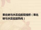 氧化鈉與水反應(yīng)的雙線橋（氧化鈉與水反應(yīng)放熱嗎）