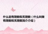 什么是有理數(shù)和無理數(shù)（什么叫做有理數(shù)和無理數(shù)簡介介紹）