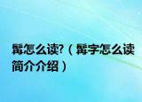 髯怎么讀?（髯字怎么讀簡(jiǎn)介介紹）