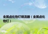 金屬鹵化物燈鎮(zhèn)流器（金屬鹵化物燈）