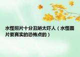 水怪照片十分丑陋太嚇人（水怪圖片要真實(shí)的恐怖點(diǎn)的）