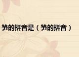筍的拼音是（筍的拼音）