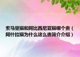 索馬里貓和阿比西尼亞貓哪個貴（阿什拉貓為什么這么貴簡介介紹）
