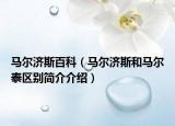 馬爾濟斯百科（馬爾濟斯和馬爾泰區(qū)別簡介介紹）
