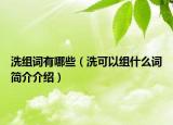 洗組詞有哪些（洗可以組什么詞簡(jiǎn)介介紹）