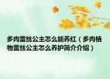 多肉蕾絲公主怎么能養(yǎng)紅（多肉植物蕾絲公主怎么養(yǎng)護簡介介紹）