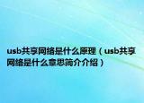 usb共享網(wǎng)絡(luò)是什么原理（usb共享網(wǎng)絡(luò)是什么意思簡介介紹）