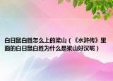 白日鼠白勝怎么上的梁山（《水滸傳》里面的白日鼠白勝為什么是梁山好漢呢）