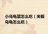 小烏龜蛋怎么吃（夾板烏龜怎么吃）
