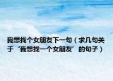我想找個女朋友下一句（求幾句關(guān)于‘我想找一個女朋友’的句子）