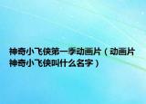 神奇小飛俠第一季動(dòng)畫(huà)片（動(dòng)畫(huà)片神奇小飛俠叫什么名字）