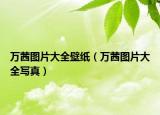 萬茜圖片大全壁紙（萬茜圖片大全寫真）