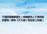 于海的螳螂拳圖片（螳螂拳傳人于海電影好像有一部叫《大太極》有沒有人知道）
