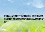 手機ass文件用什么播放器（什么播放器可以播放ASS類型的文件和SSA類型的文件）