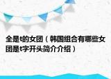 全是t的女團(tuán)（韓國(guó)組合有哪些女團(tuán)是t字開頭簡(jiǎn)介介紹）