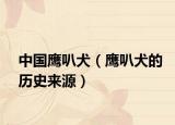 中國鷹叭犬（鷹叭犬的歷史來源）