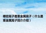 哪些離子是重金屬離子（什么是重金屬離子簡介介紹）
