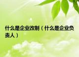 什么是企業(yè)改制（什么是企業(yè)負(fù)責(zé)人）