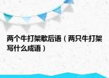 兩個牛打架歇后語（兩只牛打架寫什么成語）