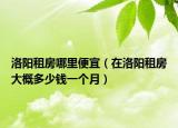 洛陽租房哪里便宜（在洛陽租房大概多少錢一個月）