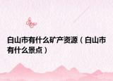 白山市有什么礦產(chǎn)資源（白山市有什么景點）