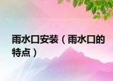 雨水口安裝（雨水口的特點）