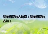 贊美母愛的古詩詞（贊美母愛的古詩）