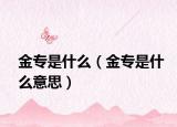 金專是什么（金專是什么意思）