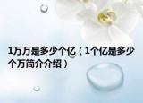 1萬萬是多少個億（1個億是多少個萬簡介介紹）