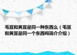 毛豆和黃豆是同一種東西么（毛豆和黃豆是同一個東西嗎簡介介紹）