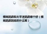橫斑鸚鵡和太平洋鸚鵡哪個(gè)好（橫斑鸚鵡到底吃什么呢）