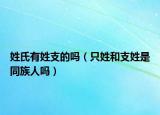 姓氏有姓支的嗎（只姓和支姓是同族人嗎）